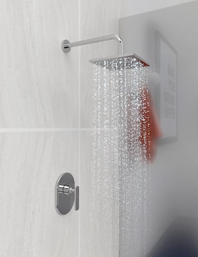 Regadera para baño Proyecta