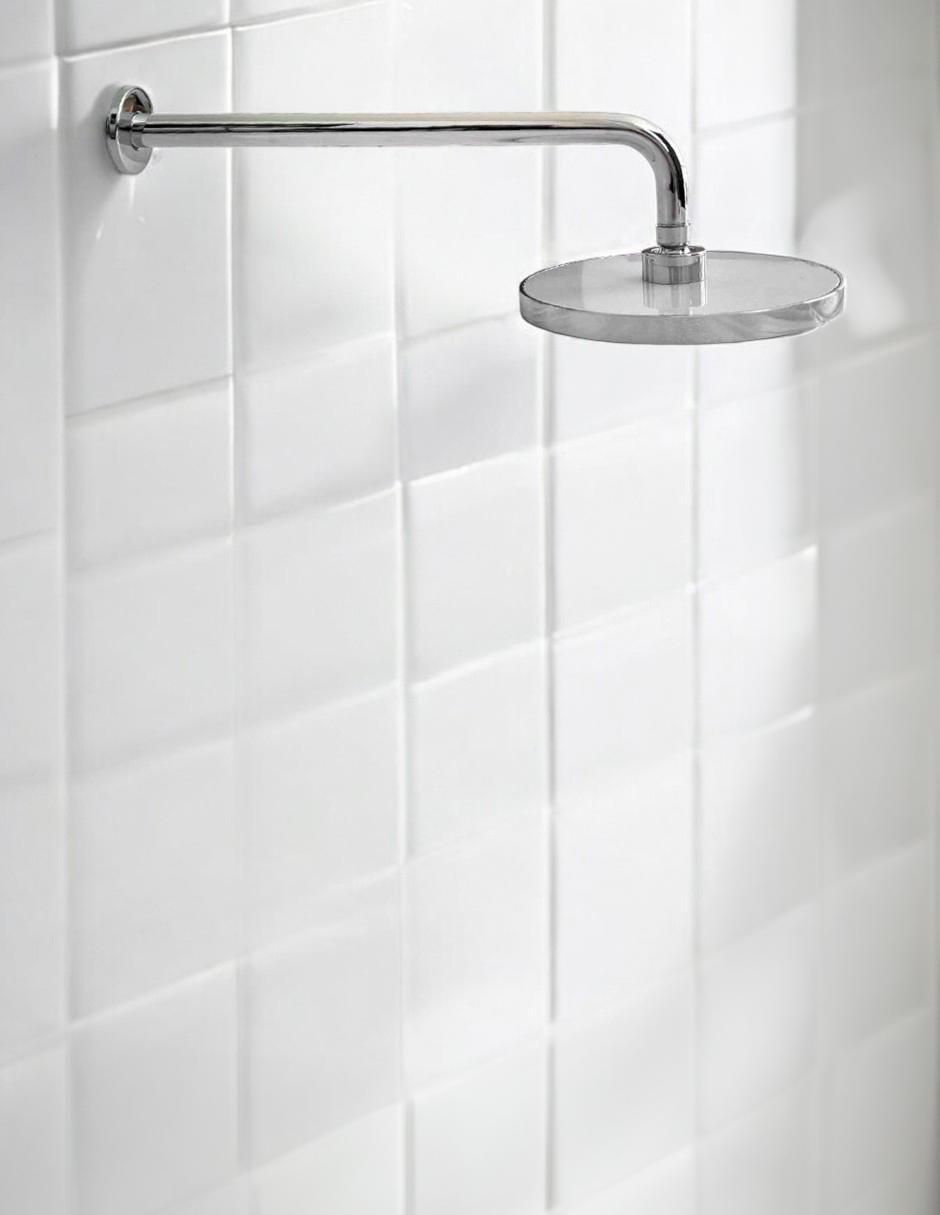 Regadera para baño 4