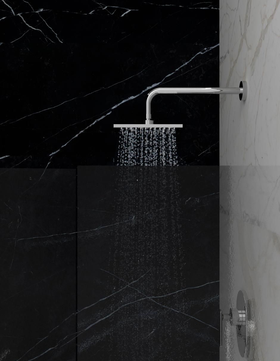 Regadera para baño 2