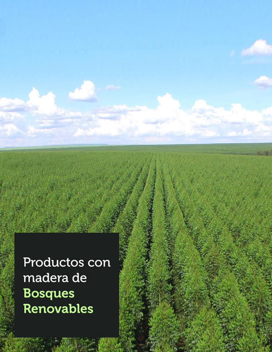 Cocina integral 8
